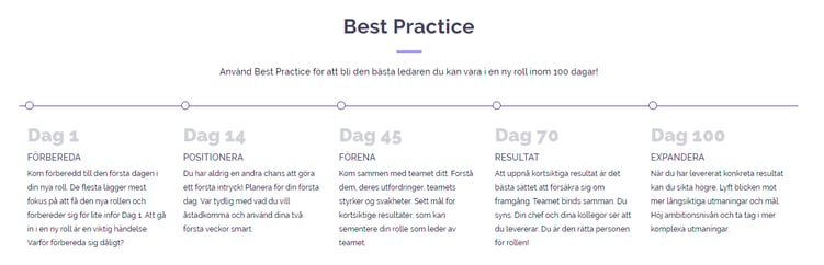 5 faser best practice svensk